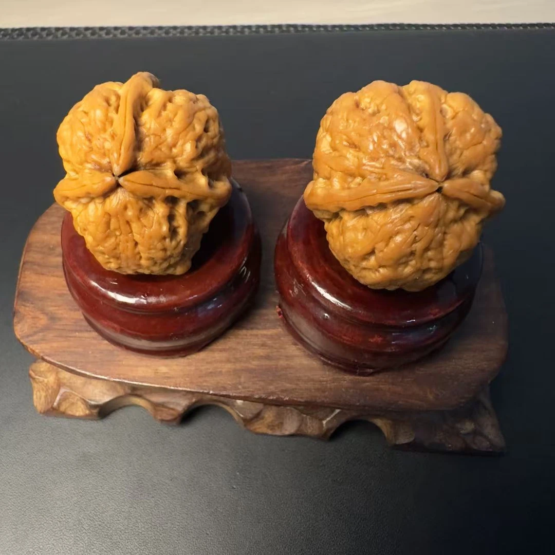 打底铁核桃三棱——224