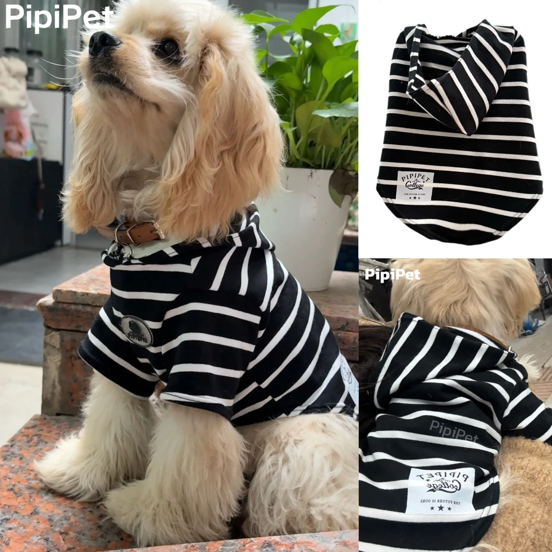 皮皮派宠物狗狗衣服连帽卫衣条纹设计中小型犬四季款服饰