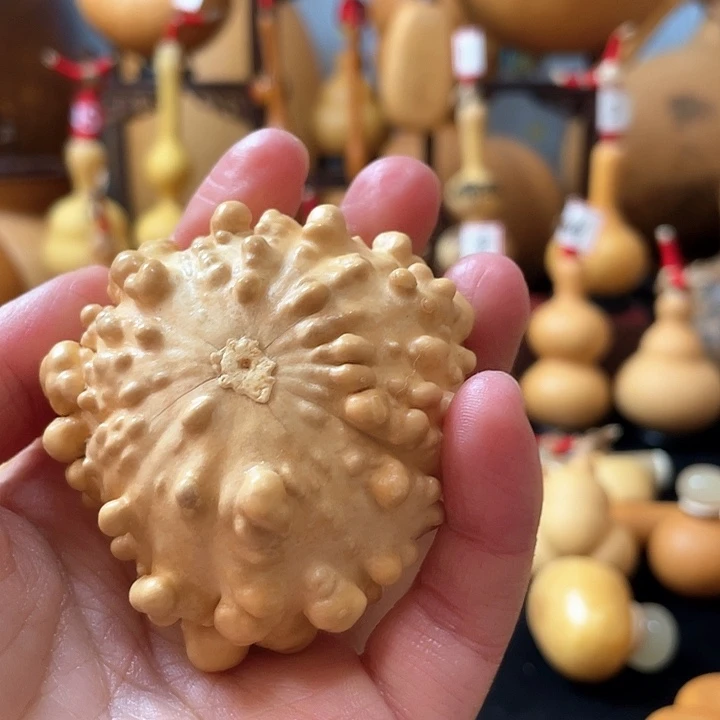 天*蓝葫芦丝和我闺女说他长得