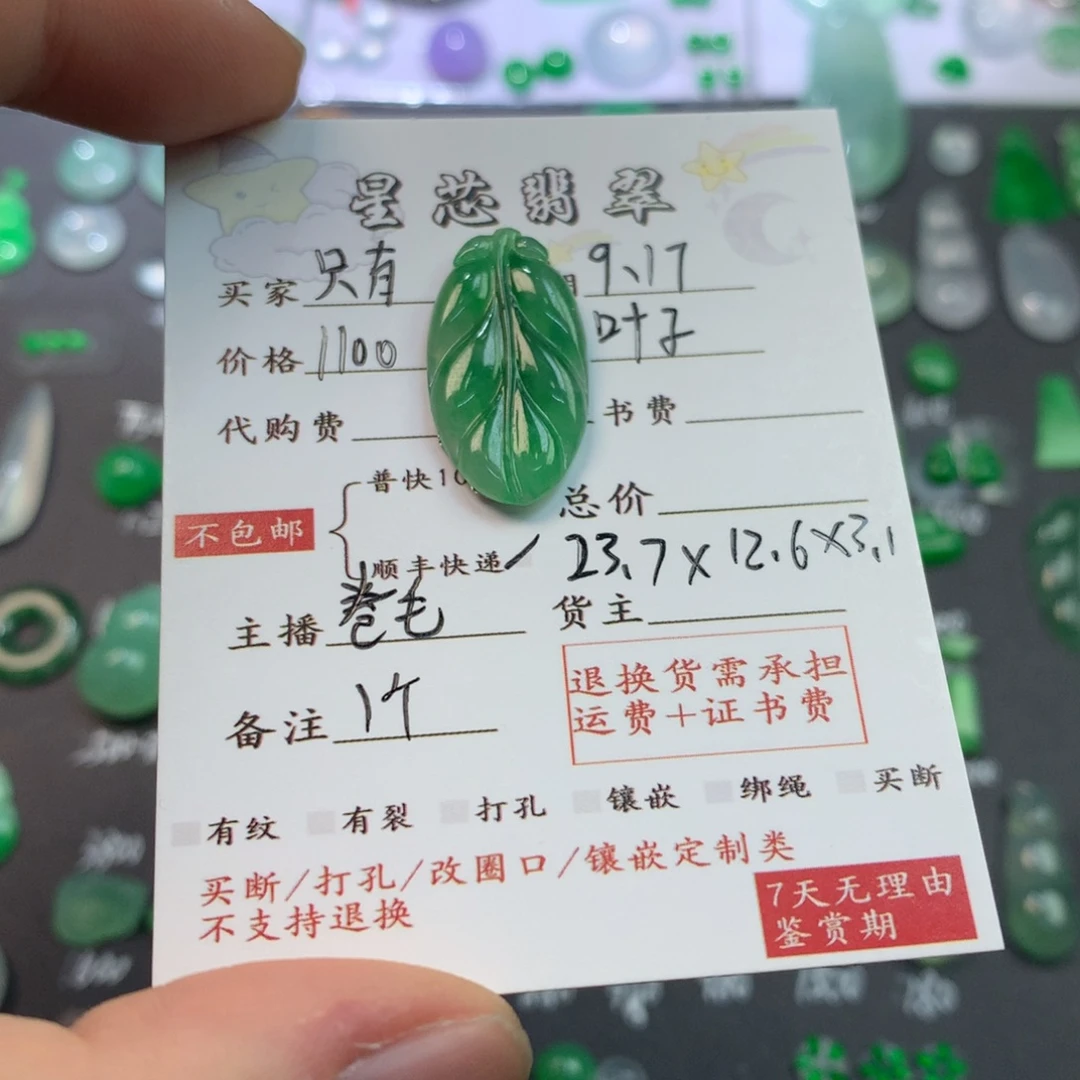 只***窝颈饰未镶嵌翡翠叶子