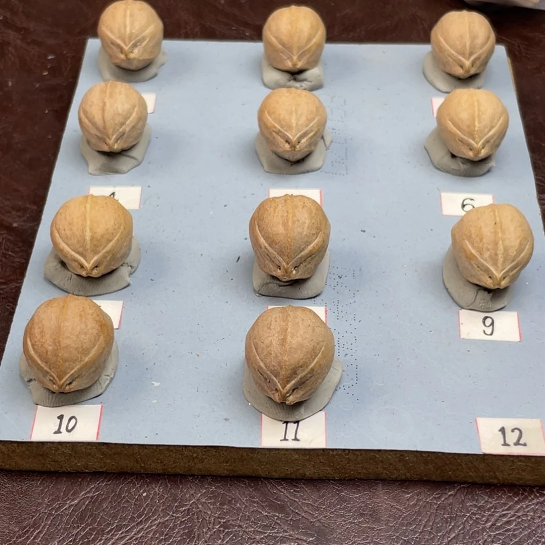 手串/手链橄榄核风**人20.25梅林铁核