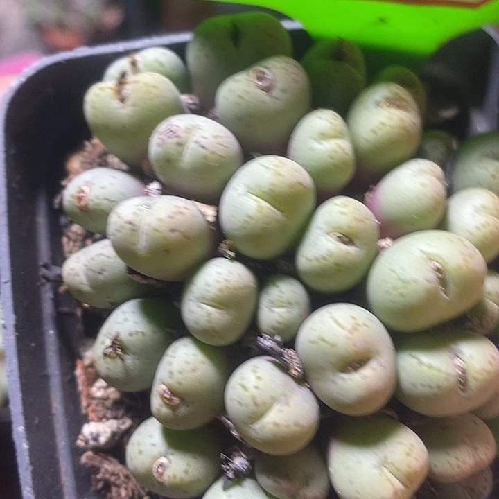 在一起是很快乐了啊我真的5021