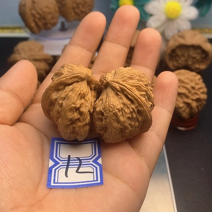 把件文玩核桃白狮子（浮黄）