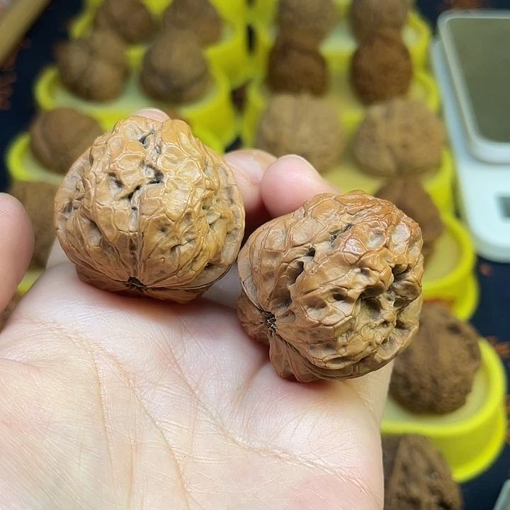 文玩核桃把件47、小帝王39