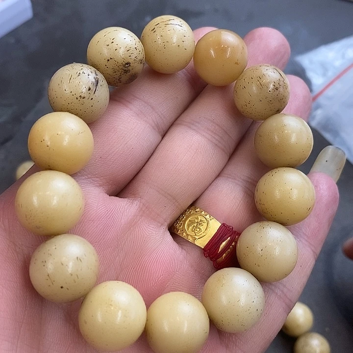 大果紫檀（缅甸花梨）885