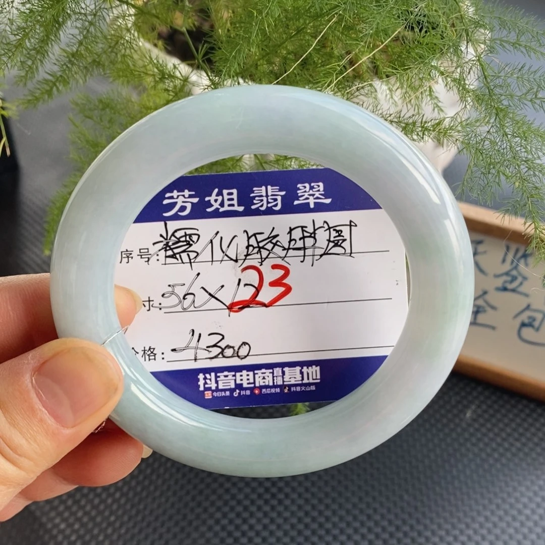 【闪购商品】未镶嵌手镯翡翠0000000023