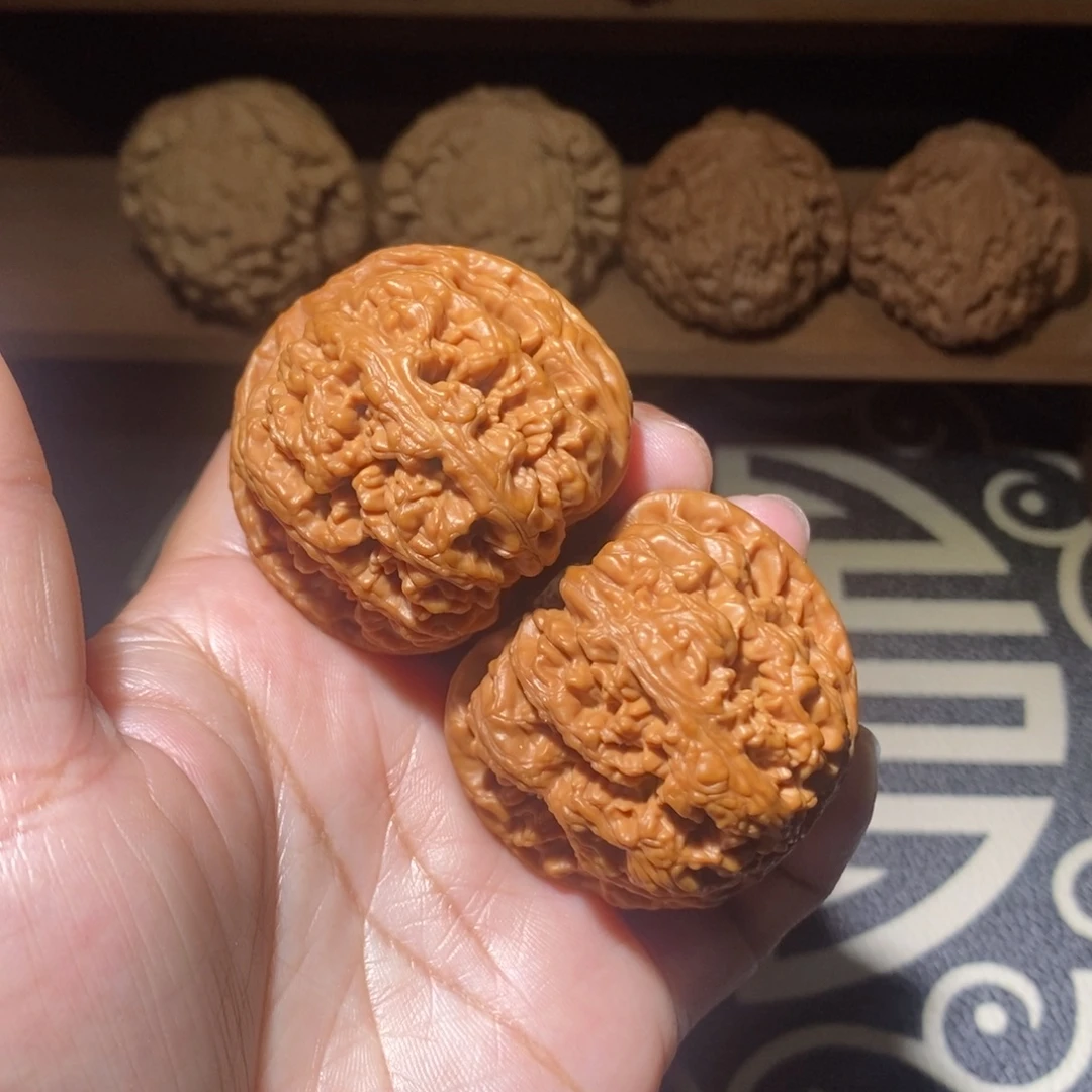 大叶紫檀（黑酸枝木类）核桃把件大粗筋