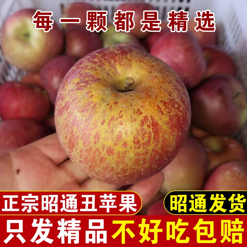 辛谷正宗云南昭通丑苹果脆甜多汁冰糖心鲜水果现摘红富士整箱萍果