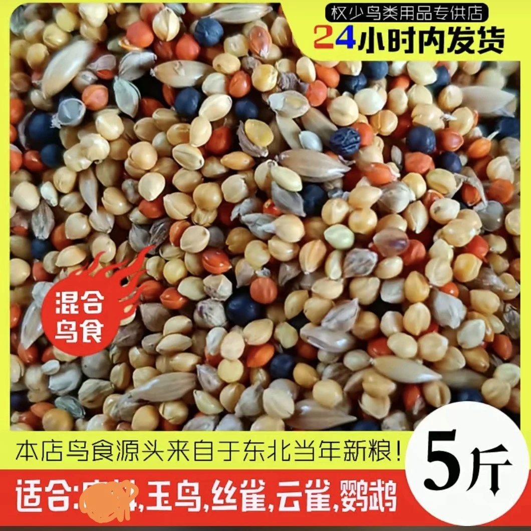 五色混合鸟食 适合喂玉鸟 金青 丝雀 金翅 云雀 百灵 黄鸟 等等