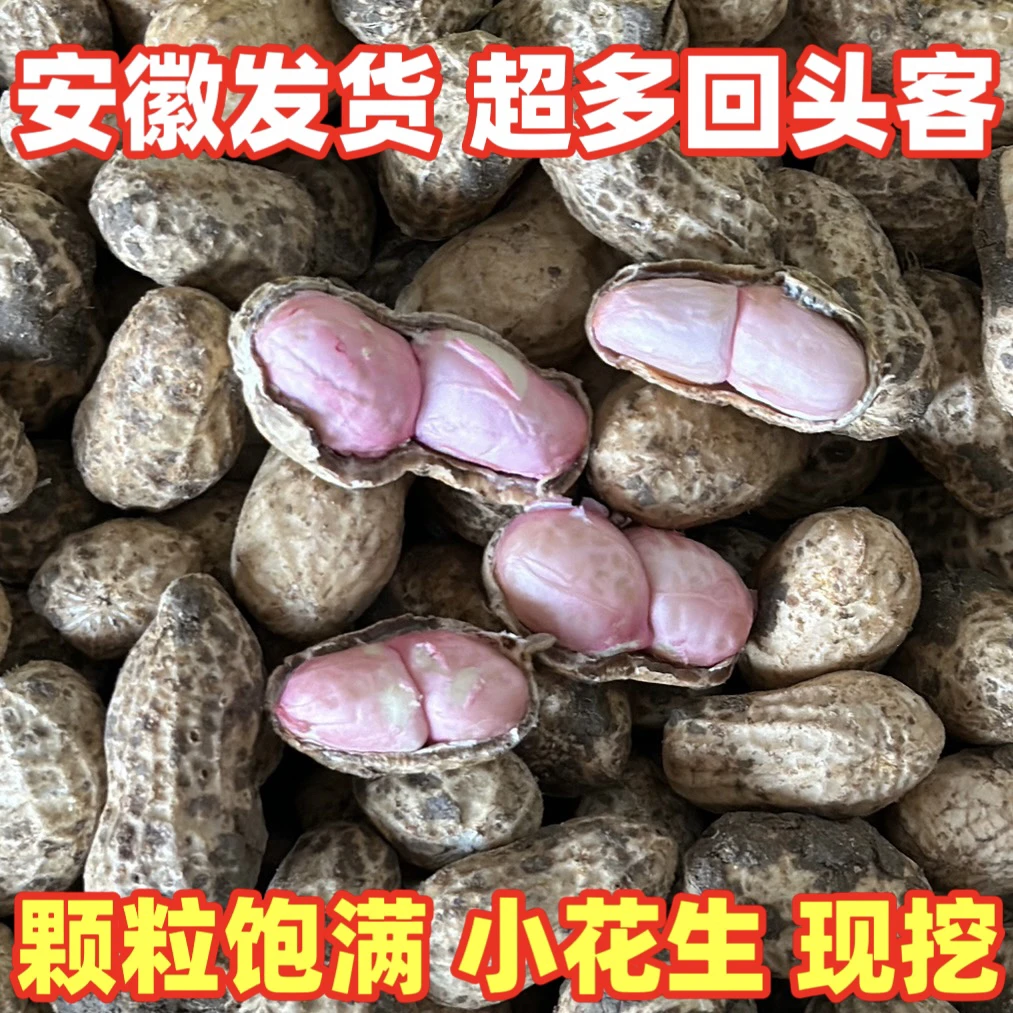 安徽湿花生新鲜带皮生花生小白沙罗汉果花生颗粒饱满带泥新鲜花生