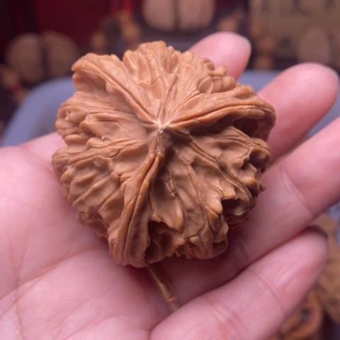 不***摇文玩核桃把件核桃