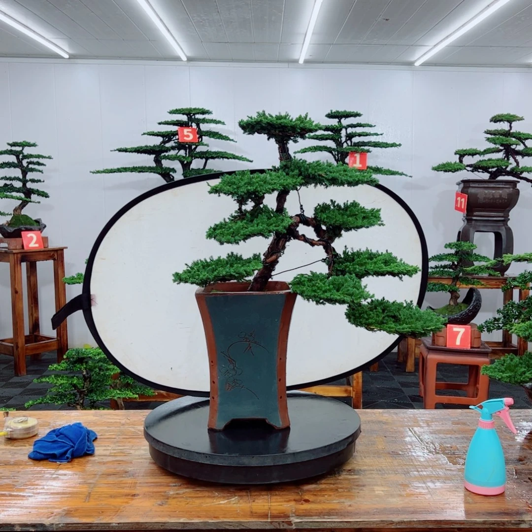 无花朵1111111111111