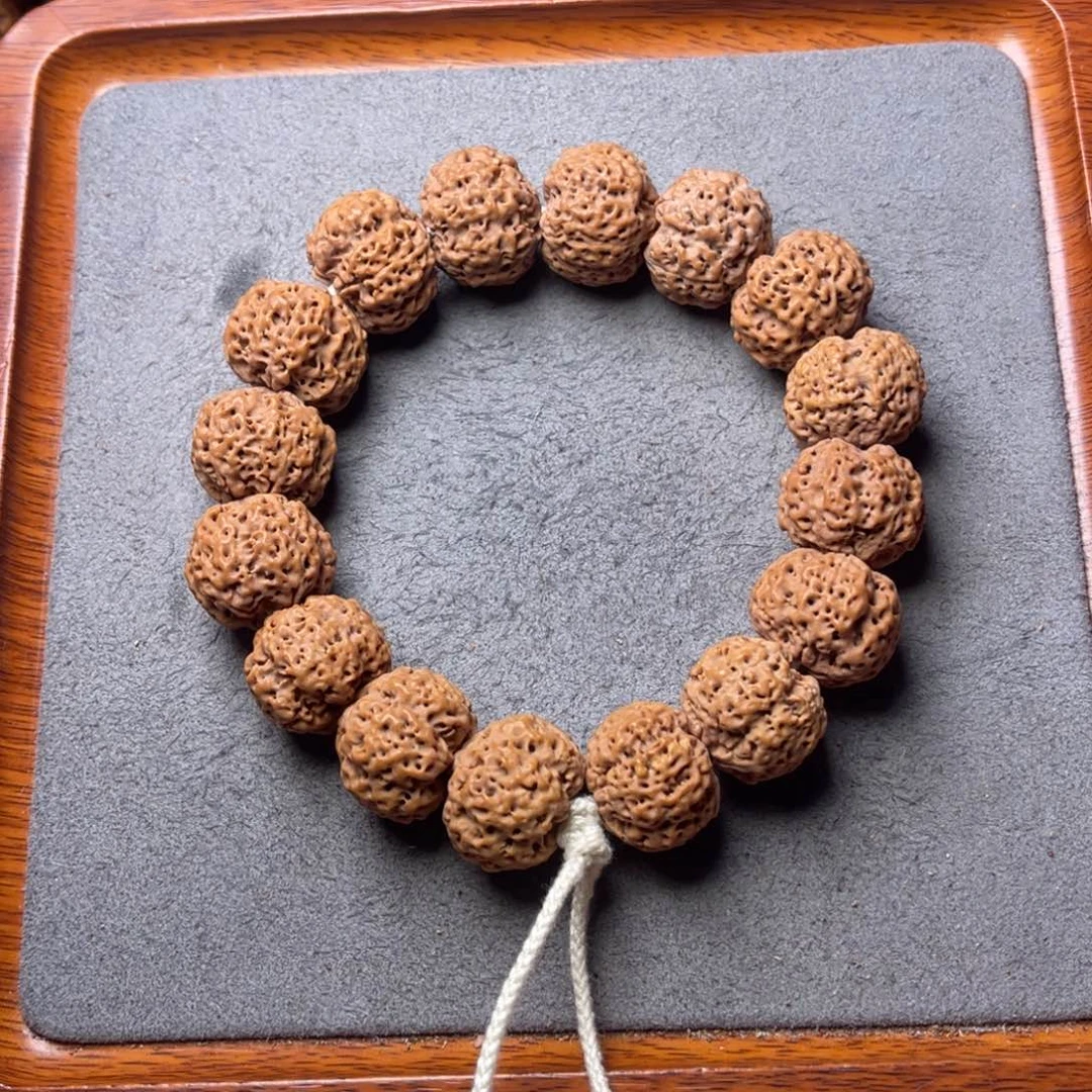 菩提43号金刚菩提五星蜂王21