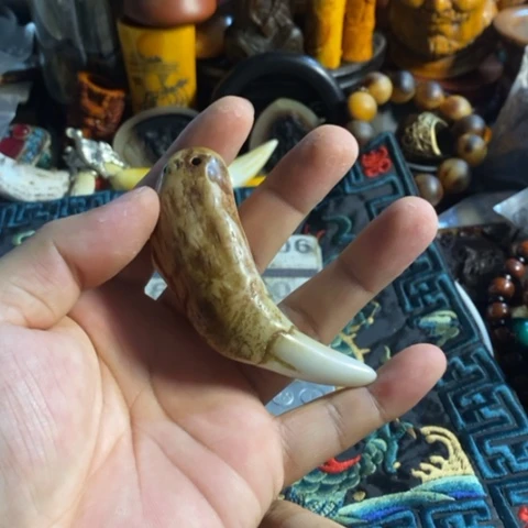 瓷片寻呼台的人也太少见啦