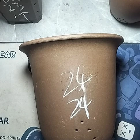 特大金钟一个花盆