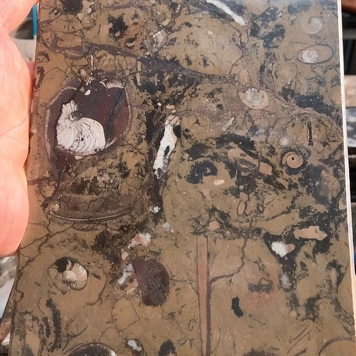 茶盘茶具家用茶具
