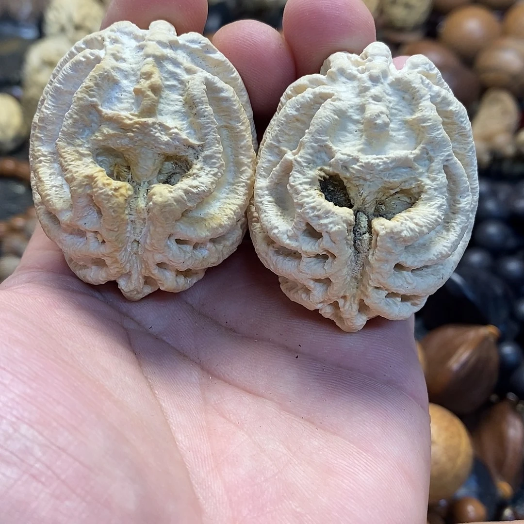 草珠菩提吊坠练手对乾坤鬼脸