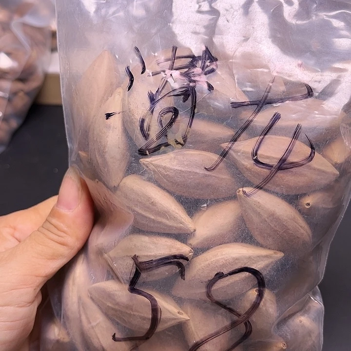 潜***龙手串/手链橄榄核1111