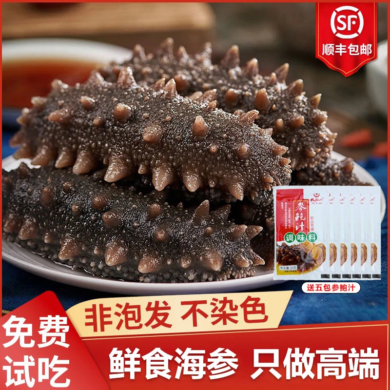 【顺丰包邮】辽宁大连底播海参—源头工厂正品发货