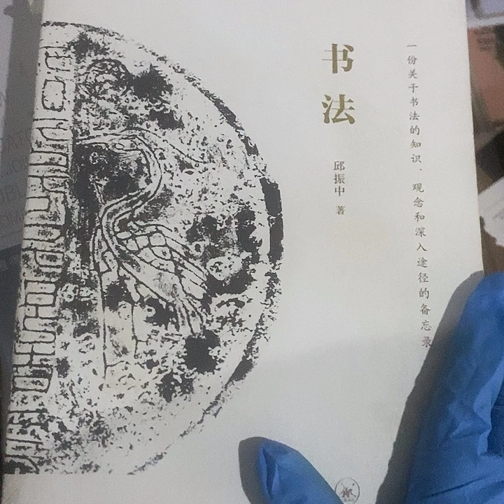 瑕疵 ……书法