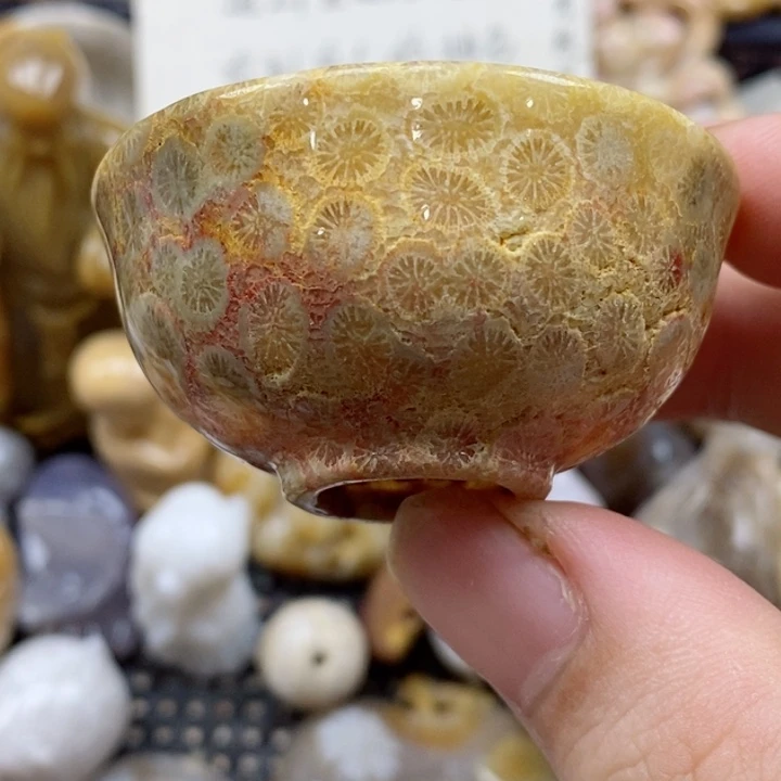 颈饰未镶嵌硅化珊瑚（珊瑚玉）有瑕