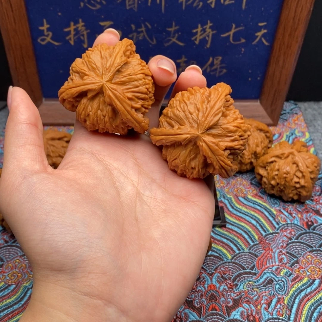 【闪购商品】刺**崔白狮