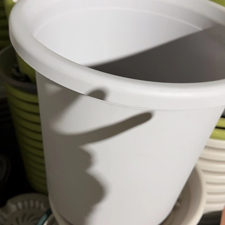 四季7号新灰白无托6个口33