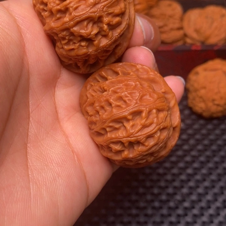 秦岭野生1111111111