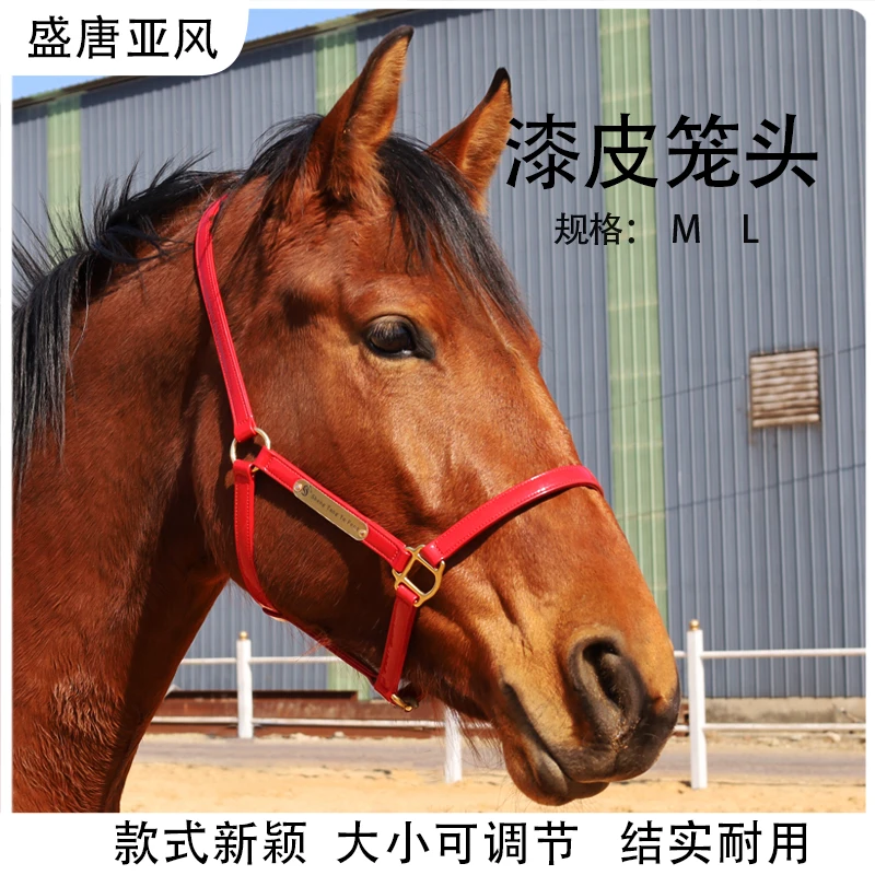 老款漆皮笼头漆皮材质耐磨马笼头可调节牵马术用品马龙头