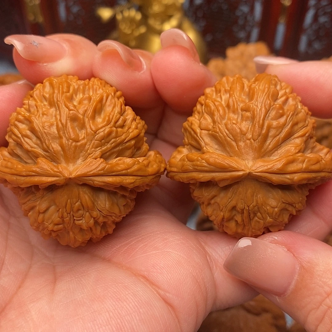把件文玩核桃43全品毕业白狮子