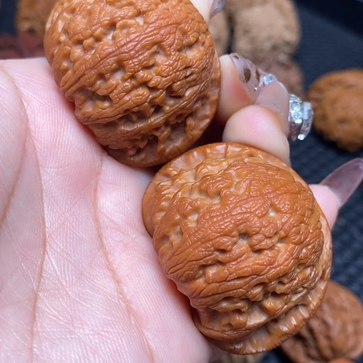 秦岭野生0000000031