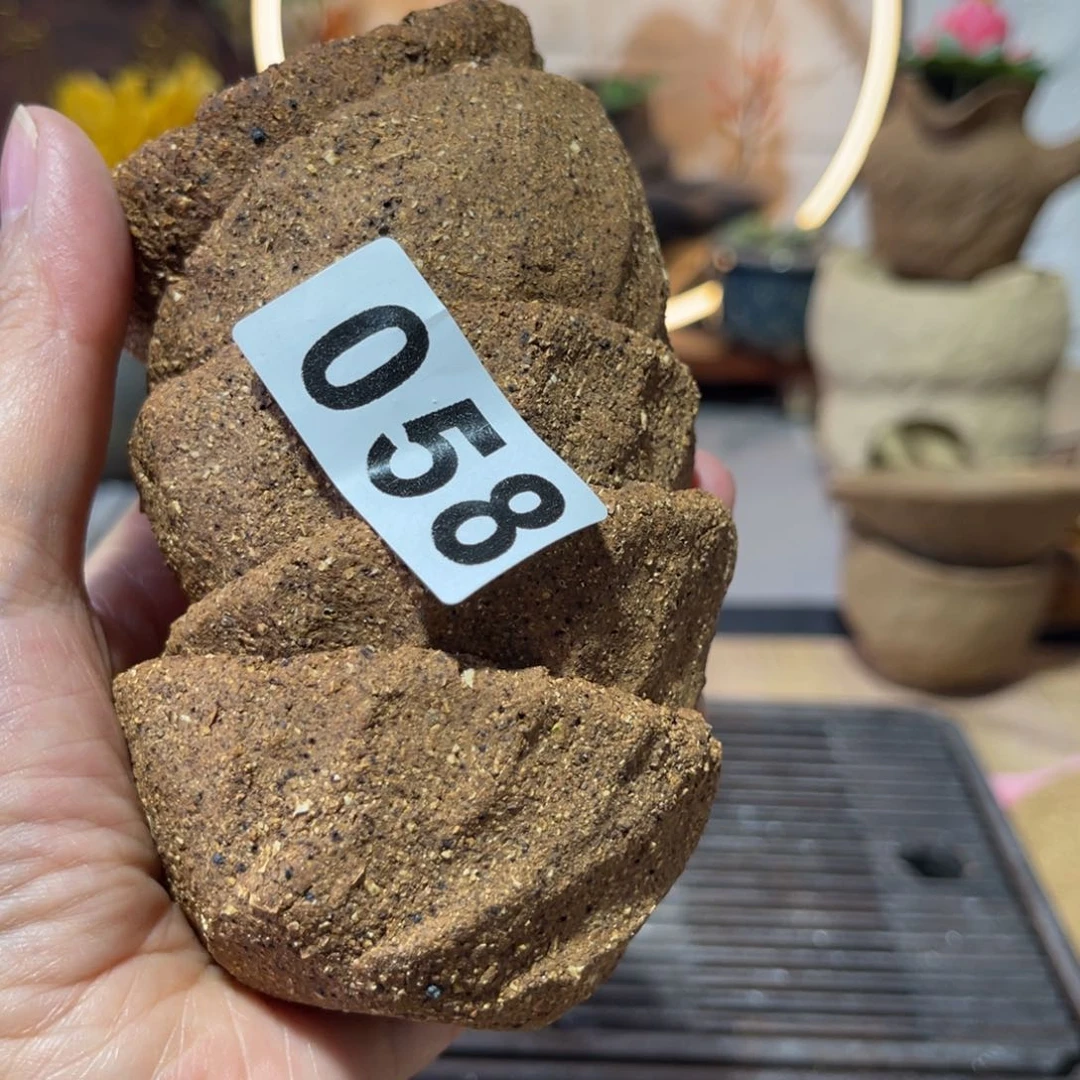 心****姐木村信弘柴烧保平