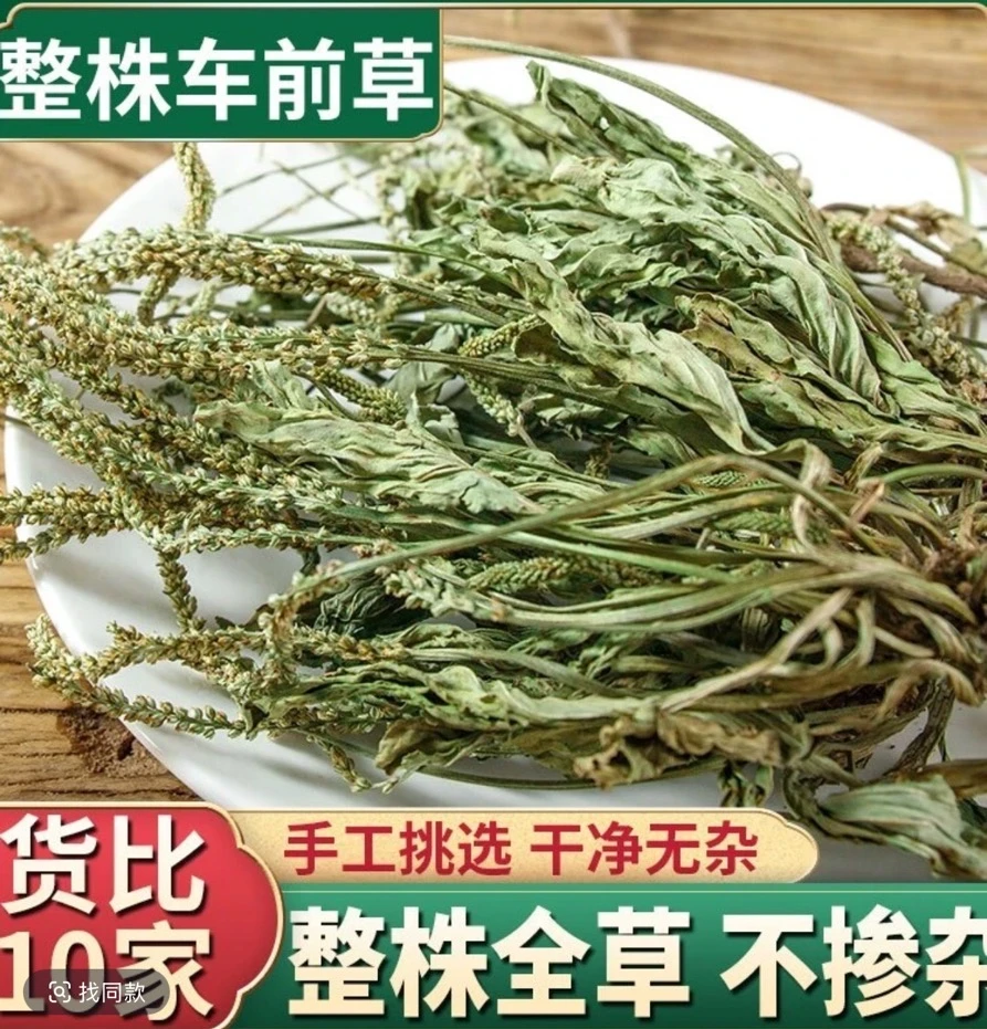 新鲜晒干 带根车前草天然农家食用广东凉茶
