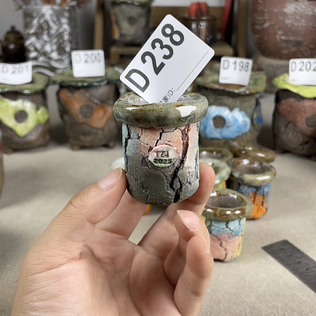坛子姐独枝杆内口2.5左右