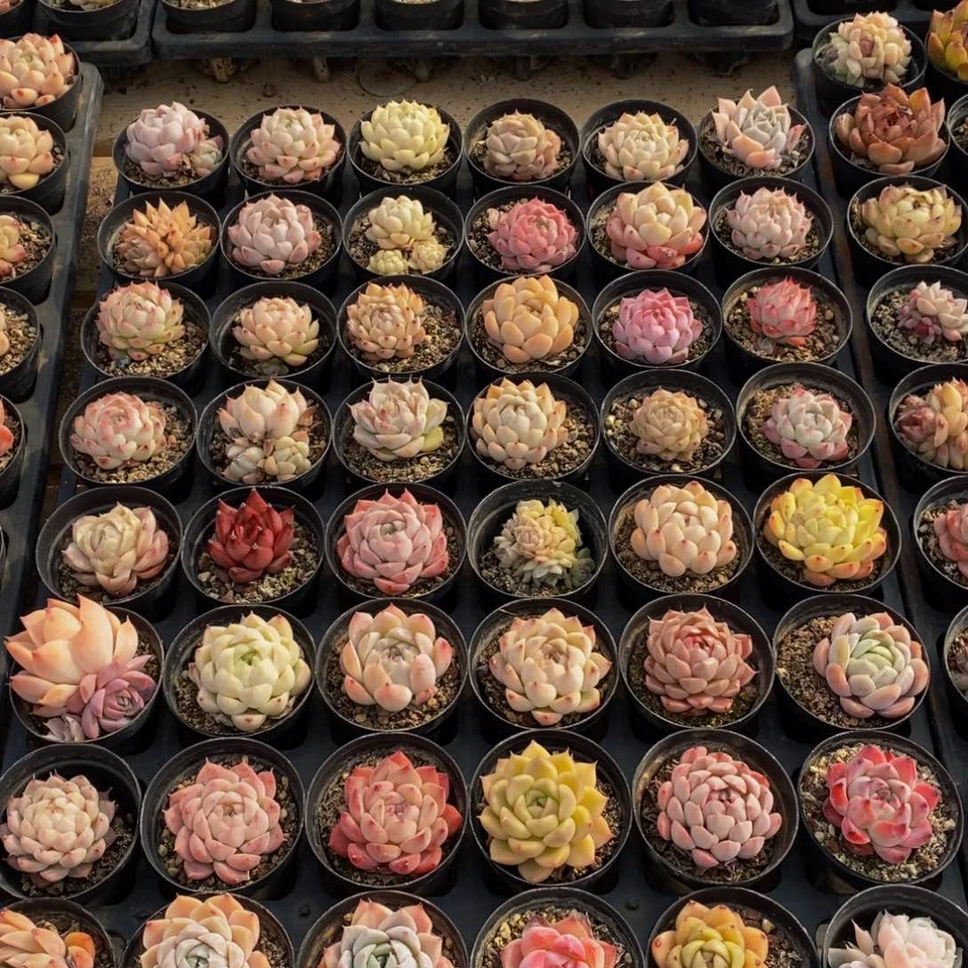 380多人在一起了，我