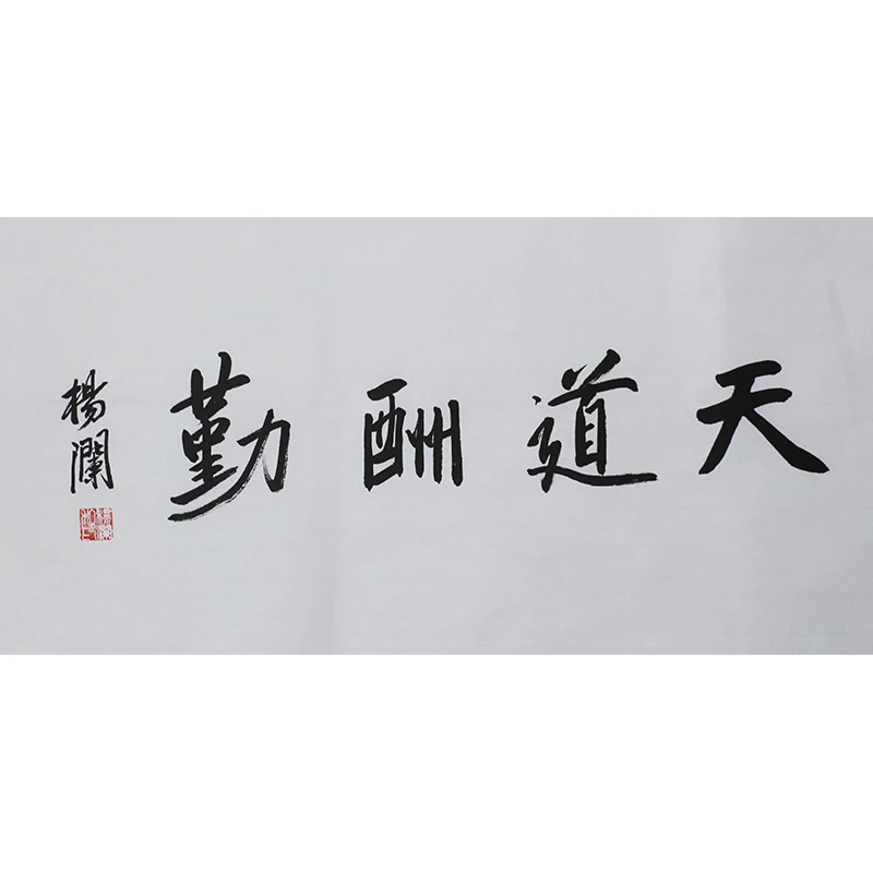  C485 杨澜书法软片 69cm×35cm