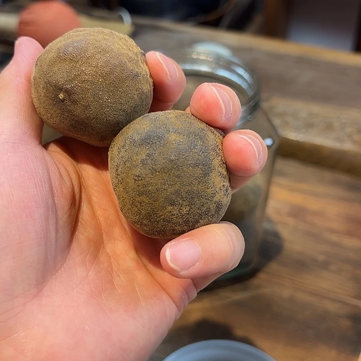 三十年野生橘红果2个