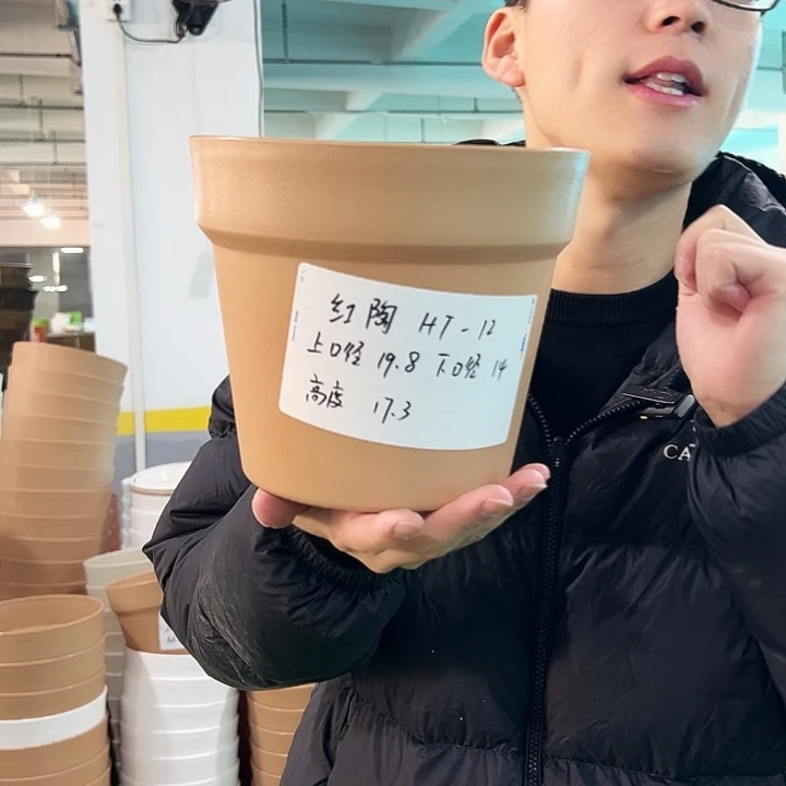 正品红陶口19.8高17卡其色无托6只