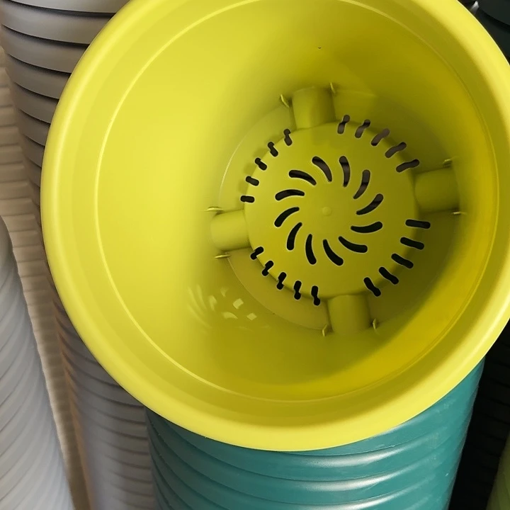 四季4号果绿无托10个特价微瑕