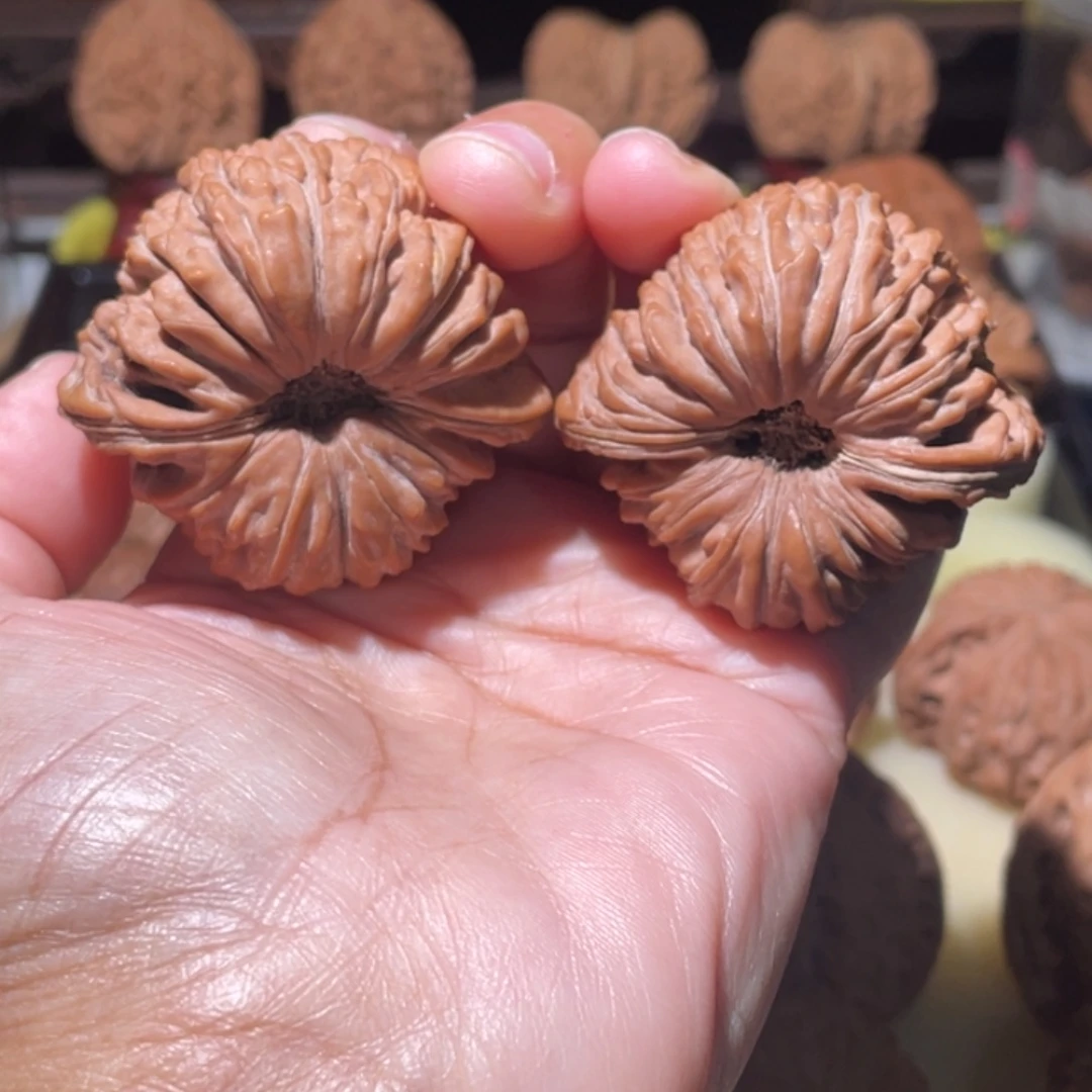 大叶紫檀（黑酸枝木类）文玩核桃南瓜楼47