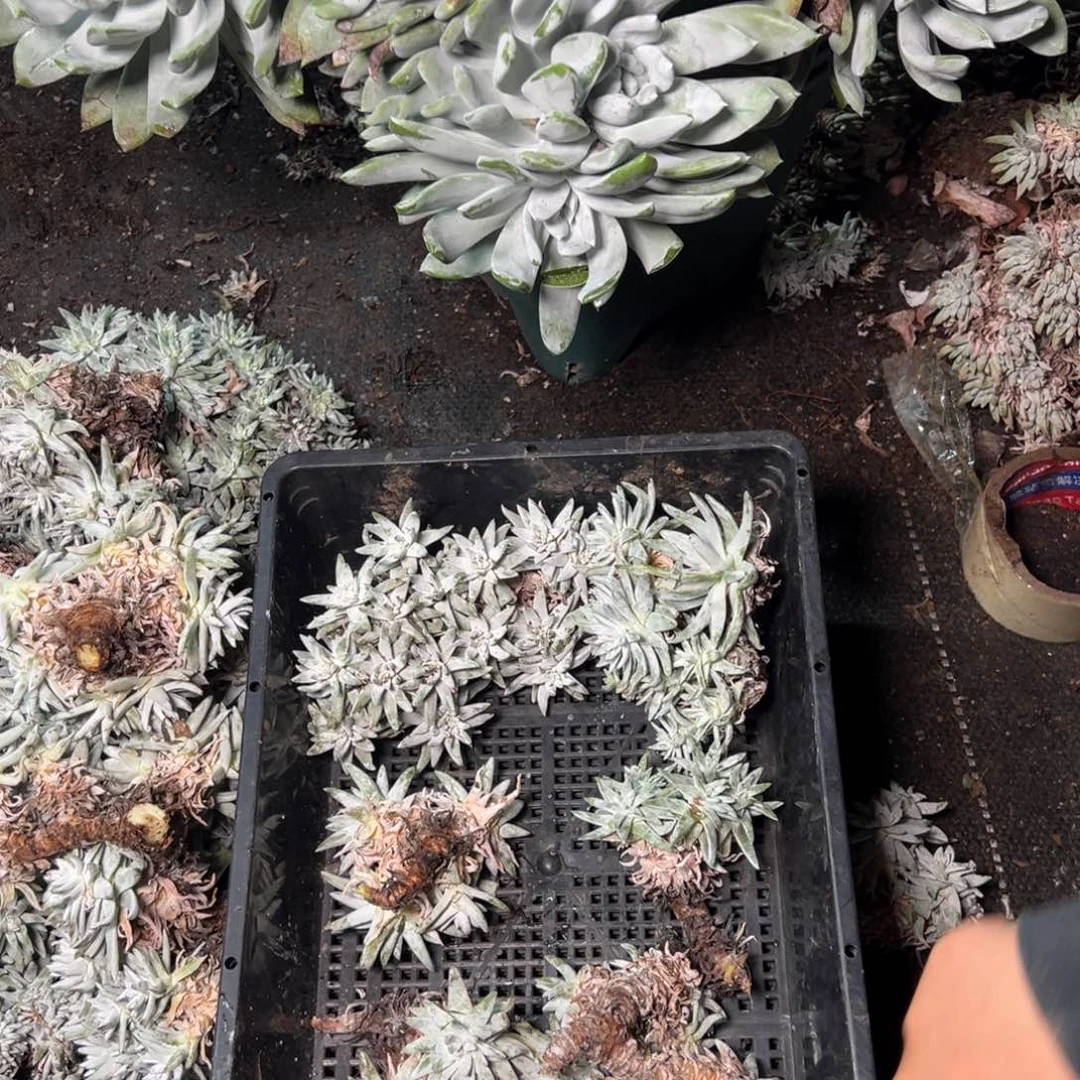 2992哈哈哈哈哈哈哈哈哈