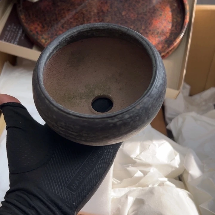 谢谢你的关心和支持我的