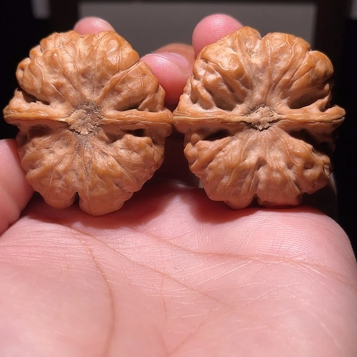 瑞***来把件核桃蛤蟆头