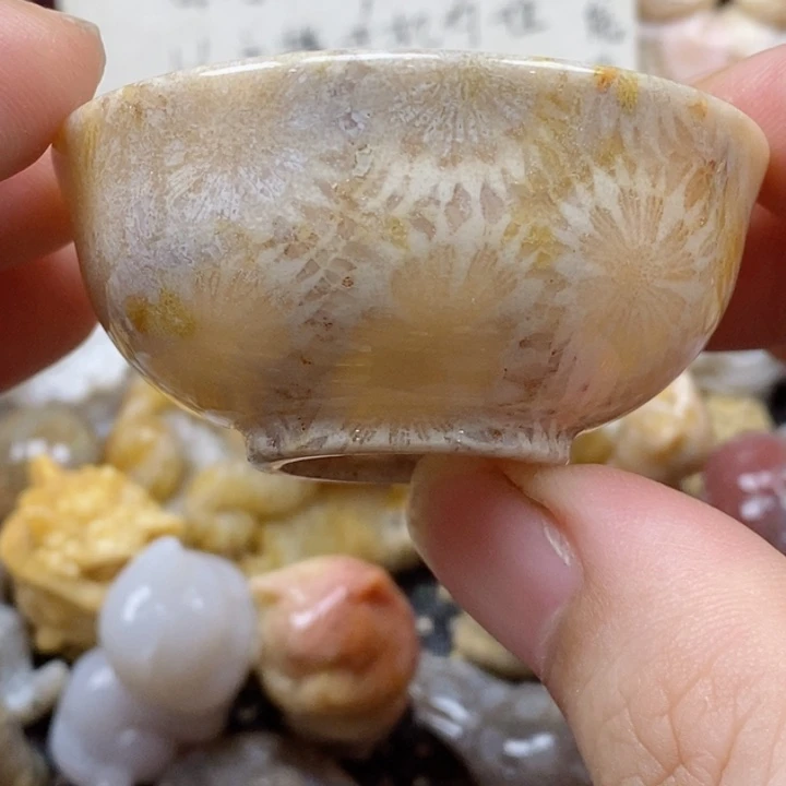 颈饰未镶嵌硅化珊瑚（珊瑚玉）