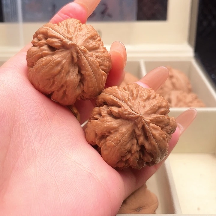 松***间霸王龙核桃尺寸40