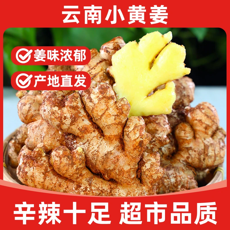 云南高山小黄姜新鲜现挖辛辣农家自种浓郁煲汤炒菜好调料产地直发