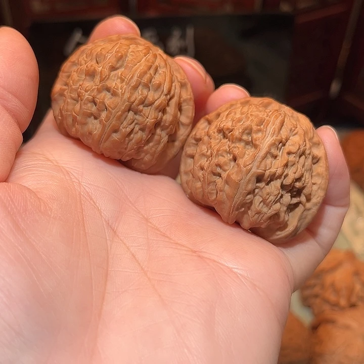 39小球白狮子……精品……
