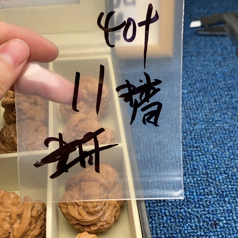 【闪购商品】哈哈哈哈哈哈哈哈哈哈哈