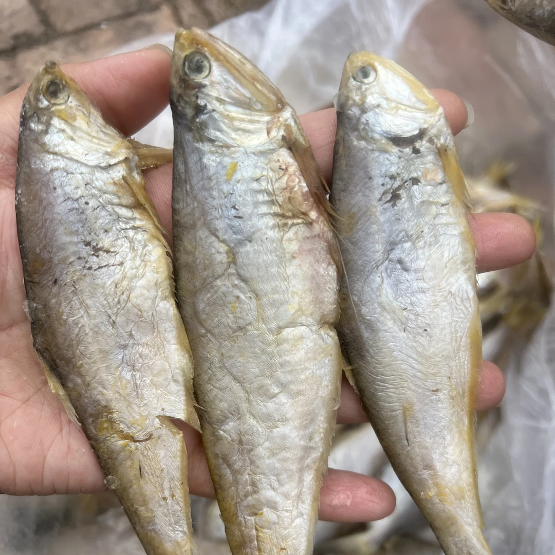 渤海湾新货半干咸香油扣鱼/马口鱼 3斤装
