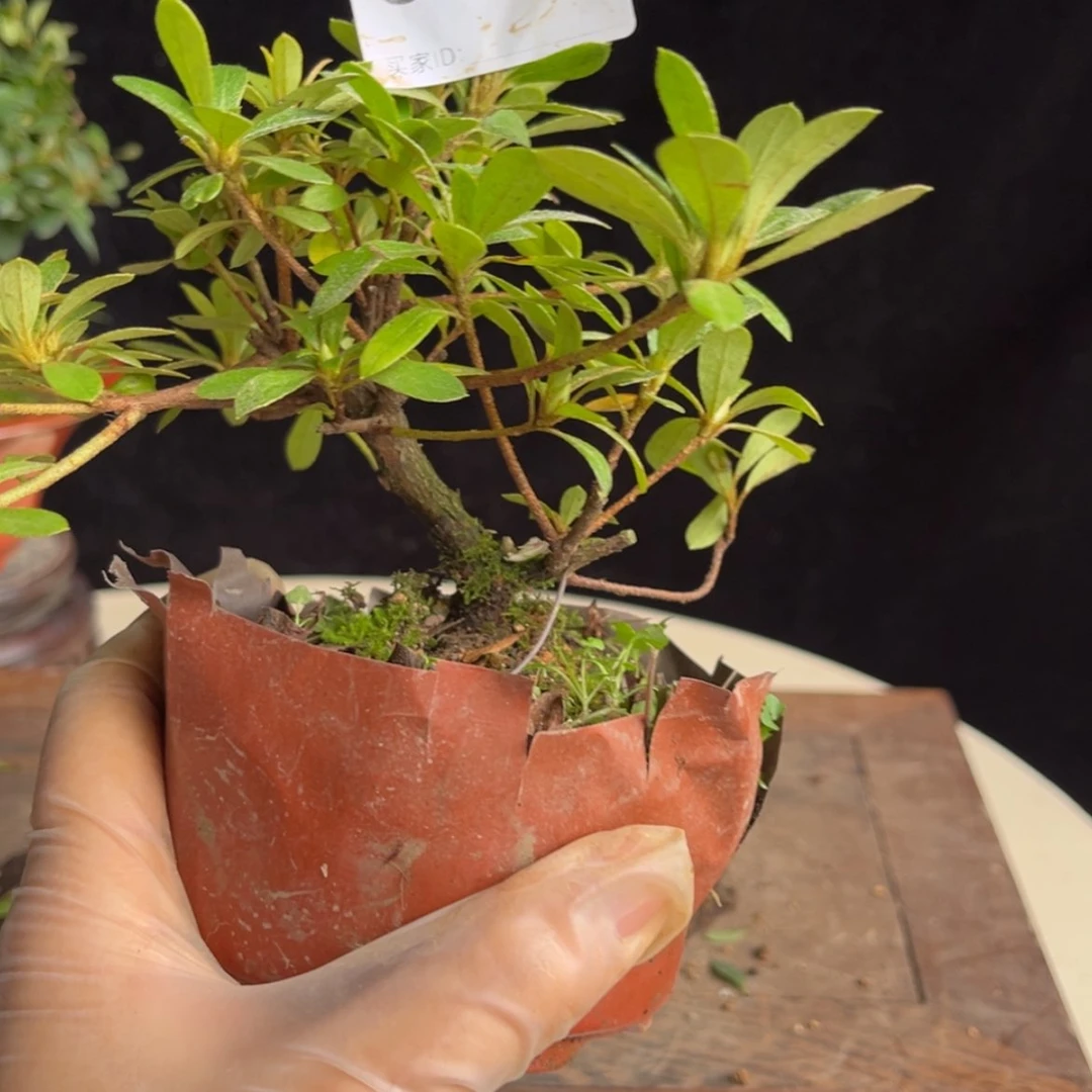 【闪购商品】完全开放机****做